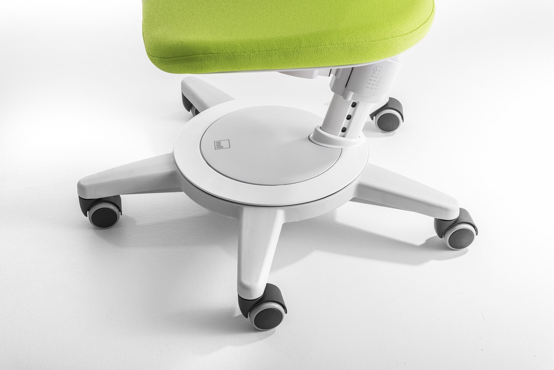 moll Funktion 2020 D prime Maximo web 0283